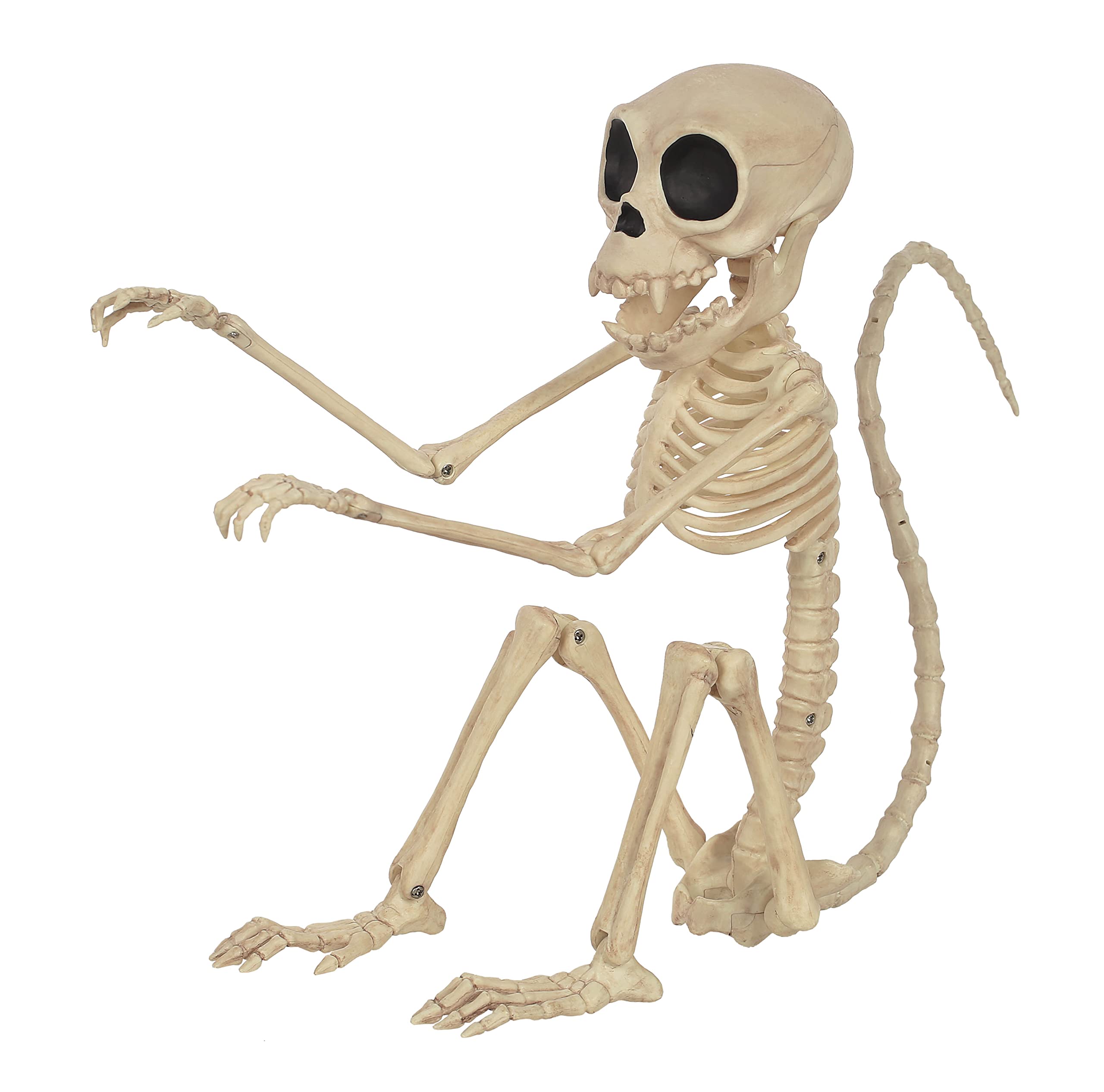 Crazy Bonez Large Skeleton Monkey : Amazon.ca: Home